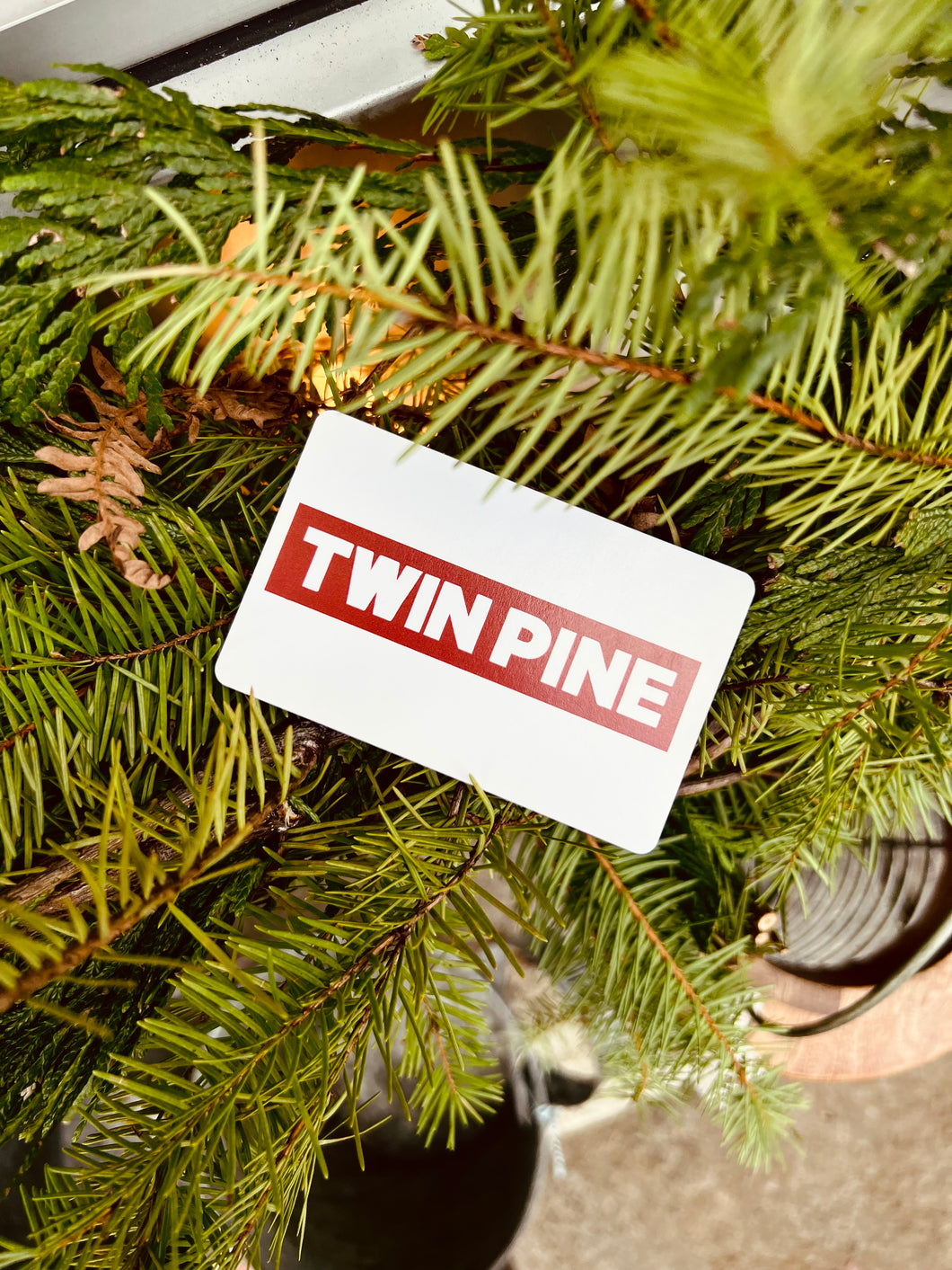 TWIN PINE Gift Card